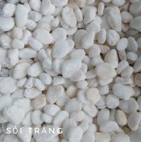 Sỏi trắng 2kg