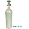 co2-binh-sat-3kg - ảnh nhỏ  1